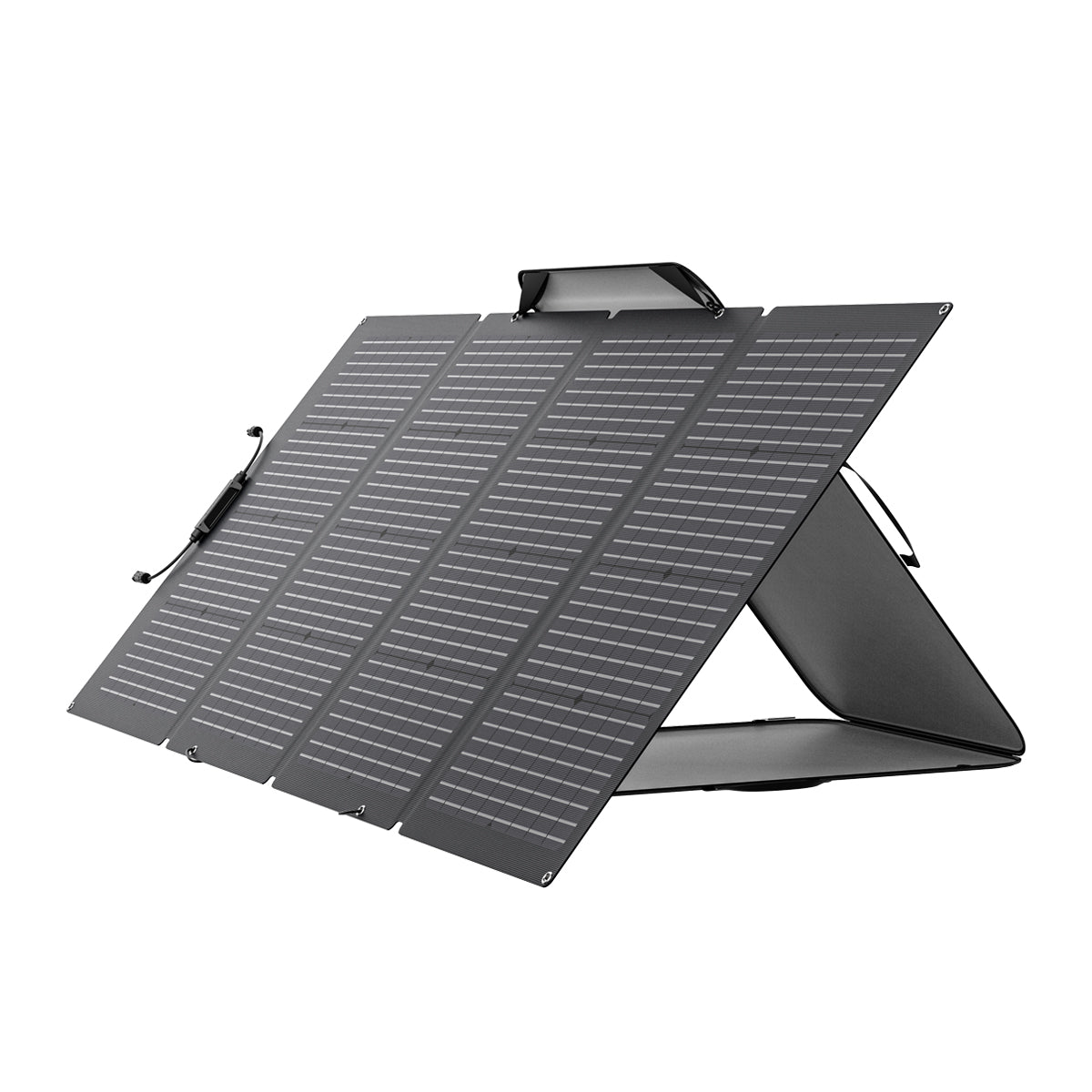EcoFlow Solpanel 220 Watt
